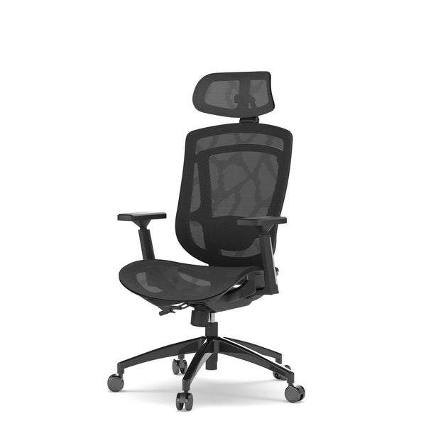 MASTER Ergonomic Chair