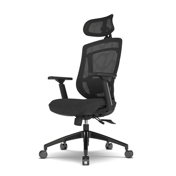 MASTER Ergonomic Chair
